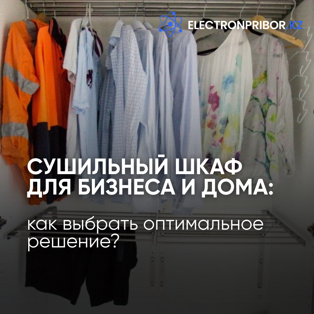 Сушильный шкаф для бизнеса и дома: как выбрать оптимальное решение