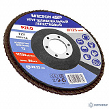 МЕГЕОН 61004-10 — комплект кругов шлифовальных лепестковых